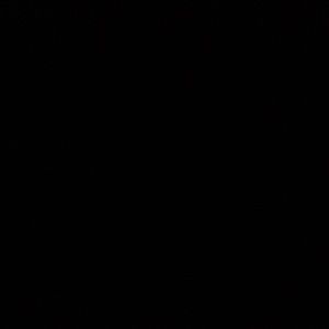 Meet your Posher, Harriett